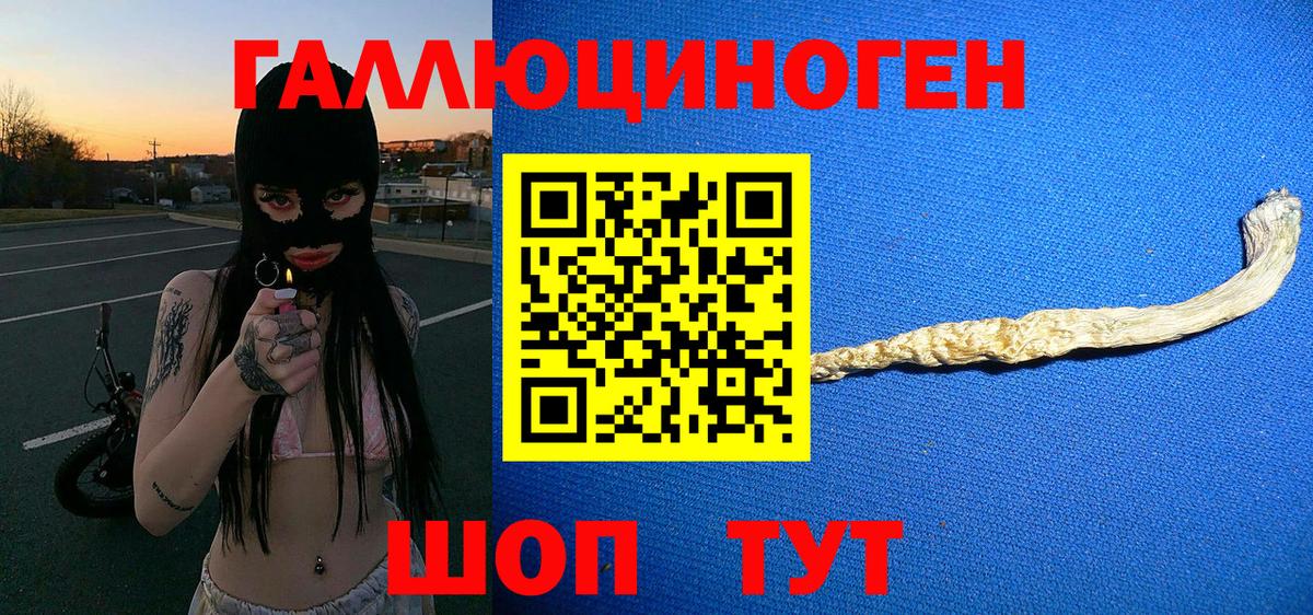 Псилоцибиновые грибы мицелий Зерноград